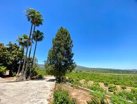 Casa de campo en Montesa