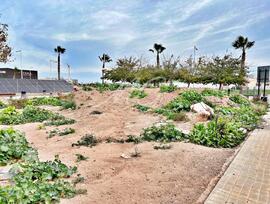 Parcela urbana en Albalat dels Sorells