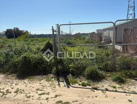 Parcela en Sanlucar de Barrameda