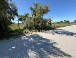 Campo en Sanlucar de Barrameda