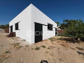 Campo en Sanlucar de Barrameda