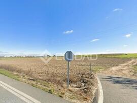 Campo en Sanlucar de Barrameda