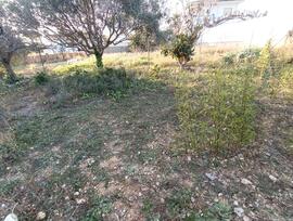 Parcela urbana en Cunit