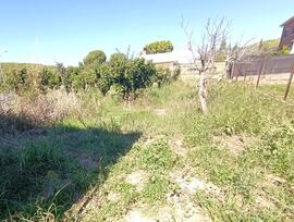 Parcela urbana en Cunit