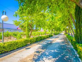 Villa en Oyon - Oion