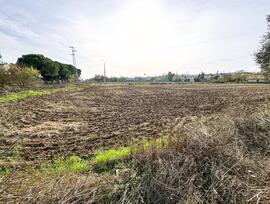 Campo en Badajoz