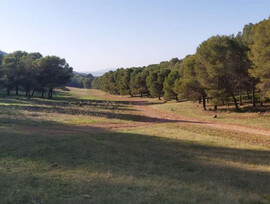 Campo en Humilladero