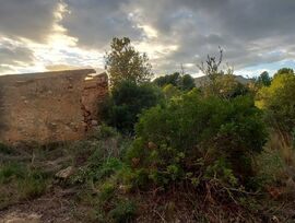 Casa de campo en Miami Platja