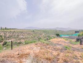 Parcela en Gojar