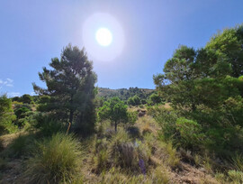 Parcela en Hondon de los Frailes