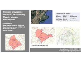 Campo en Alfara de Carles