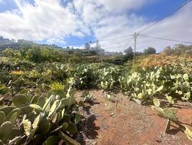 Parcela urbana edificable en Teror