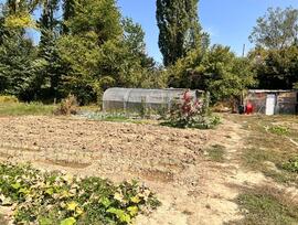Campo en Urroz