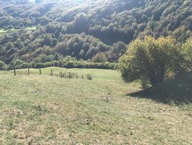 Campo en Vega de Liebana