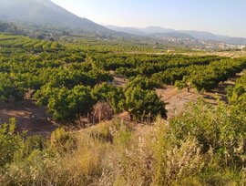 Parcela en Betxi