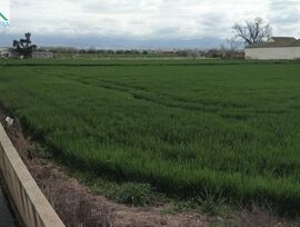 Campo en Granada