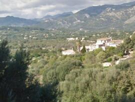 Parcela urbana edificable en Campanet