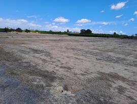 Campo en Elche