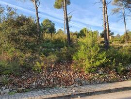 Parcela urbana edificable en La Torre de Claramunt