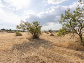 Campo en Moraleda de Zafayona