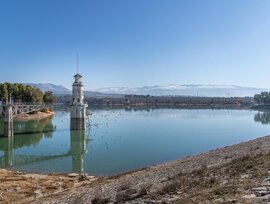 Campo en Cogollos de la Vega