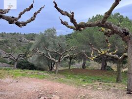 Parcela urbana en Vandellos i l'Hospitalet de l'Infant