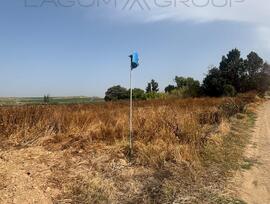 Campo en Almacelles
