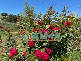 Campo en Los Barrios