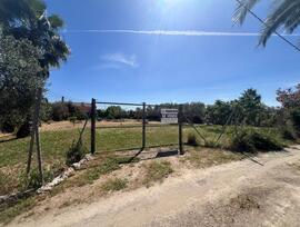 Campo en Los Palacios y Villafranca