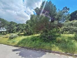 Parcela en San Martin de Valdeiglesias