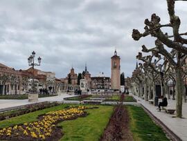 Unidad comercial en Alcala de Henares