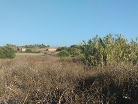 Parcela en Chiclana de la Frontera