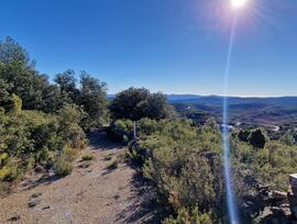 Campo en Atzeneta del Maestrat