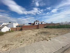 Campo en Bujalance