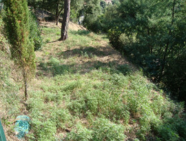 Parcela en Sant Cebria de Vallalta