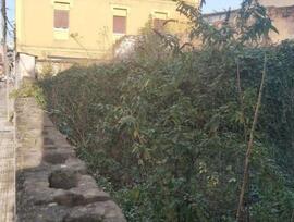 Parcela urbana en Langreo