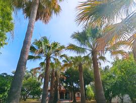 Villa en Chiclana de la Frontera