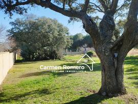 Parcela en Florida de Liebana