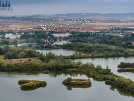 Edificio en Velilla de San Antonio
