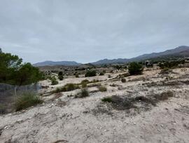 Parcela en Agost