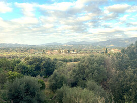 Parcela urbana en Campanet