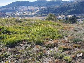 Parcela urbana edificable en La Vall d'Uixo