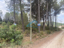 Parcela en El Montmell