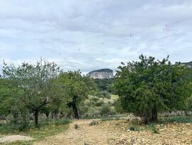 Parcela urbana edificable en Alaró