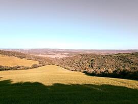 Campo en Vejer de la Frontera