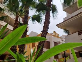 Apartamento en Torrevieja
