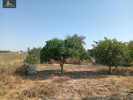 Parcela en Jerez de la Frontera
