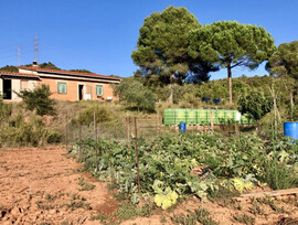 Campo en Sant Llorenç Savall