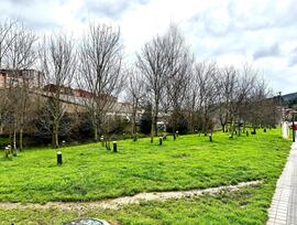 Local comercial en Trapagaran