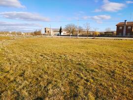 Campo en Celada del Camino